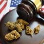 Cannabis with a gavel on top of the American flag.