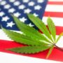 Hemp leaf on top of the American flag.