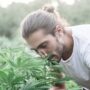 Man with long collected hair smelling marijuana plants.