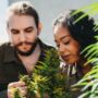 A man and a woman smelling cannabis terpenes outdoors during the day.