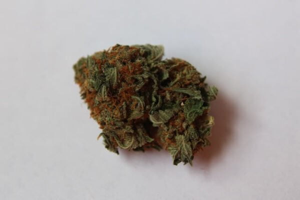 Top 10 Cannabis Strains in California - Oh Yeah Weed