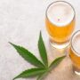 Cannabis infused beer with a marijuana leaf.