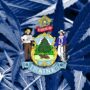 Maine State Flag on cannabis background