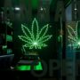 A dark and moody cannabis dispensary with a neon marijuana leaf sign