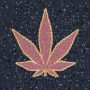 Marijuana leaf design on the Hollywood Walk of Fame.