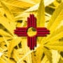 New Mexico flag against a background of cannabis plants