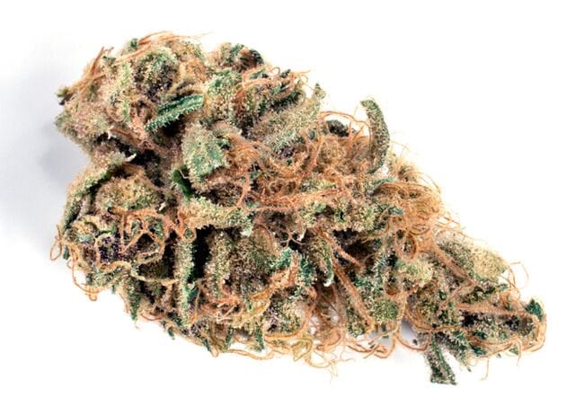Golden Goat cannabis strain.
