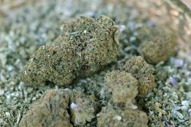Sour Apple cannabis strain