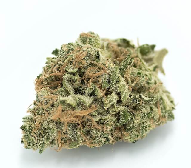 Strawberry Diesel cannabis strain. Image via The Lodge.