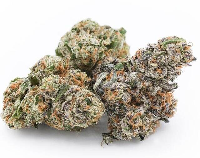 Gastro Pop cannabis strain. Image via EastCann.