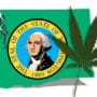 Washington state flag with marijuana leaf.