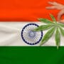 Cannabis leaf in a man's hand against backdrop of the Indian flag