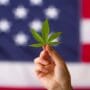 Hand holding a cannabis leaf in front of a blurred American flag, symbolizing the intersection of cannabis and U.S. politics or regulation.