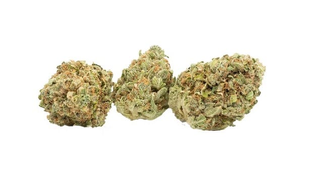 KC Kush cannabis strain. Image via Illicit. 