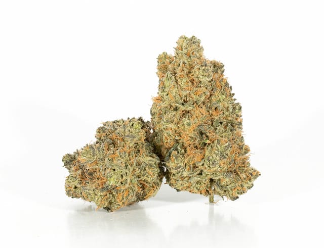 Montana Silvertip cannabis strain. Image via The Chrono. 