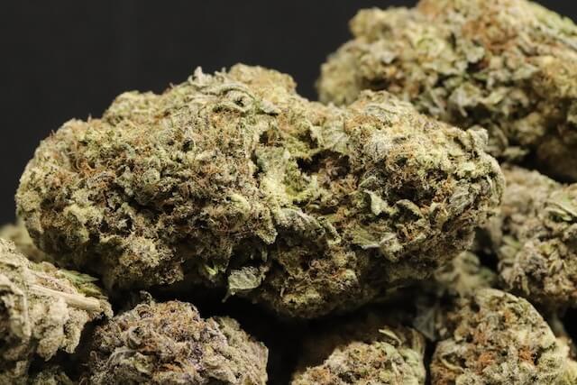 Blissful Wizard cannabis strain.