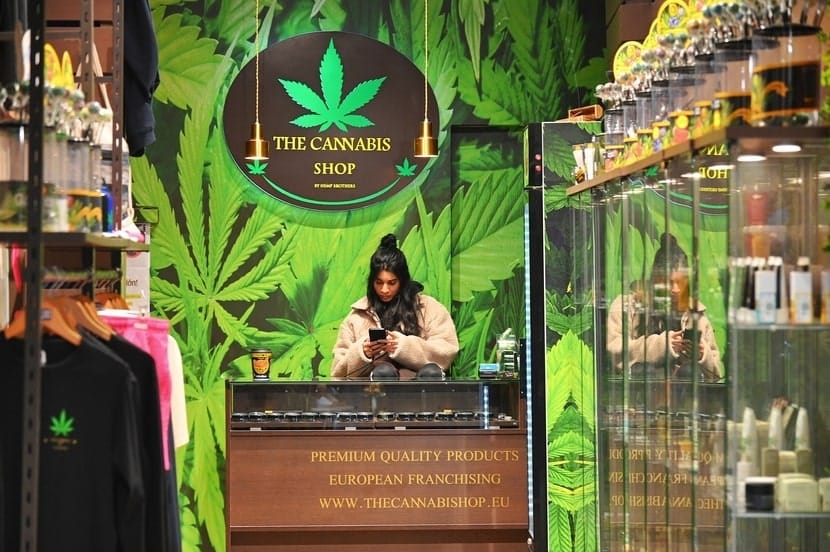 A woman in a white jacket stands behind the counter of a brightly decorated cannabis dispensary, looking down at her phone in a vibrant, leaf-covered retail space.