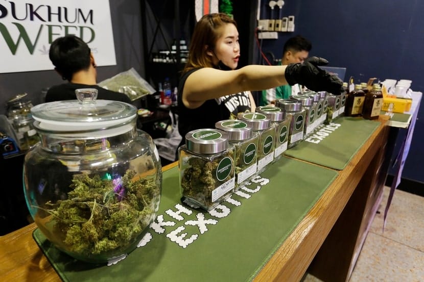 A female staff member behind a counter at a cannabis dispensary in Bangkok, gesturing while jars of cannabis line the counter.