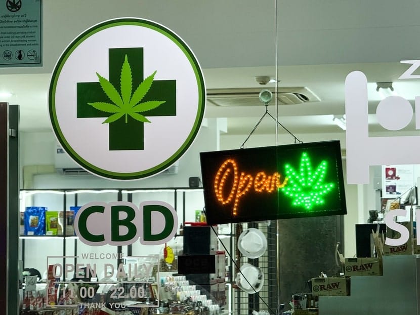 A CBD shop window with a green cross, cannabis leaf symbol, and “Open” neon sign, representing Thailand’s shift to medical-only cannabis use.
