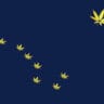 Alaskan flag with cannabis leaves
