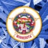 Minnesota flag against a background of marijuana leaves