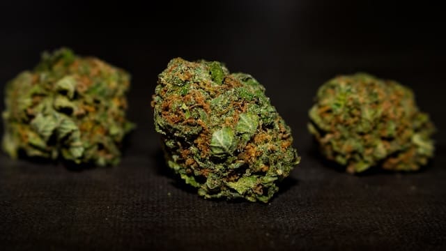 Bubba Kush cannabis strain