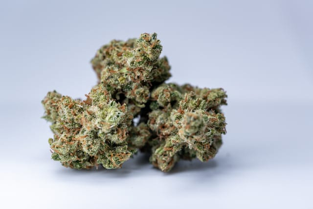 Donny Burger cannabis strain. 