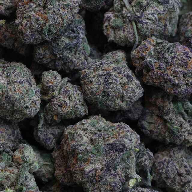 Dulce de Leche cannabis strain. Image via Zen Garden. 