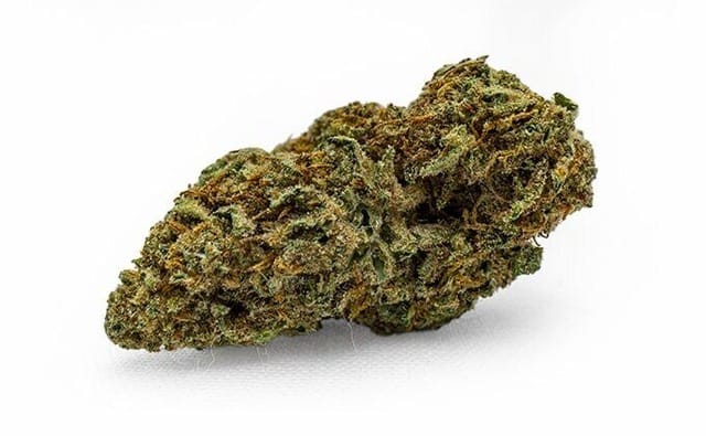 Lemon Venom cannabis strain. Image via Goodlyfe Farms. 