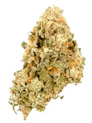 Lemon Tag cannabis strain. Image via Weedmaps.