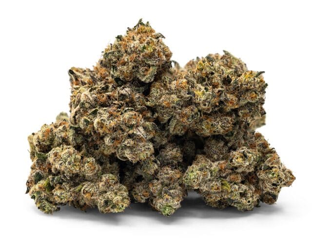 Cobra Milk cannabis strain. Image via The Fresh Connection.
