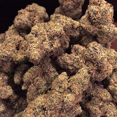 Double Stuffed cannabis strain. Image via Seedfinder. 