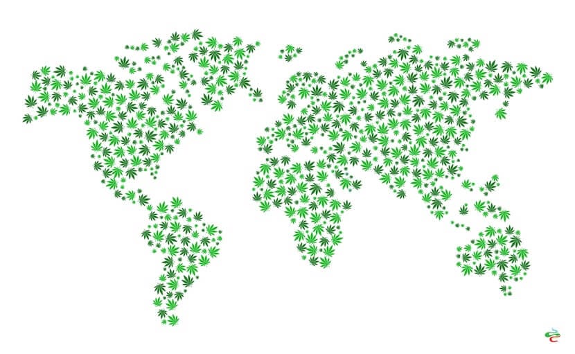 World map composition of cannabis leaves