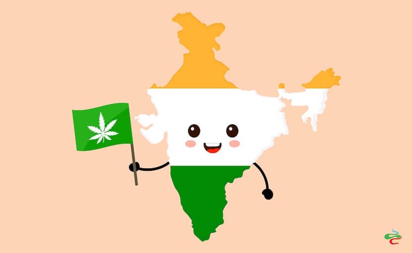 India map character with a marijuana flag