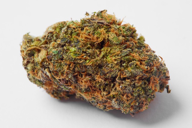 Clementine cannabis strain.