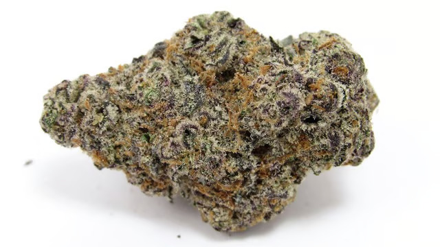 Glitter Bomb cannabis strain. Image via New Standard.