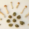 Dried cannabis flowers and psychedelic mushrooms arranged on a white surface.