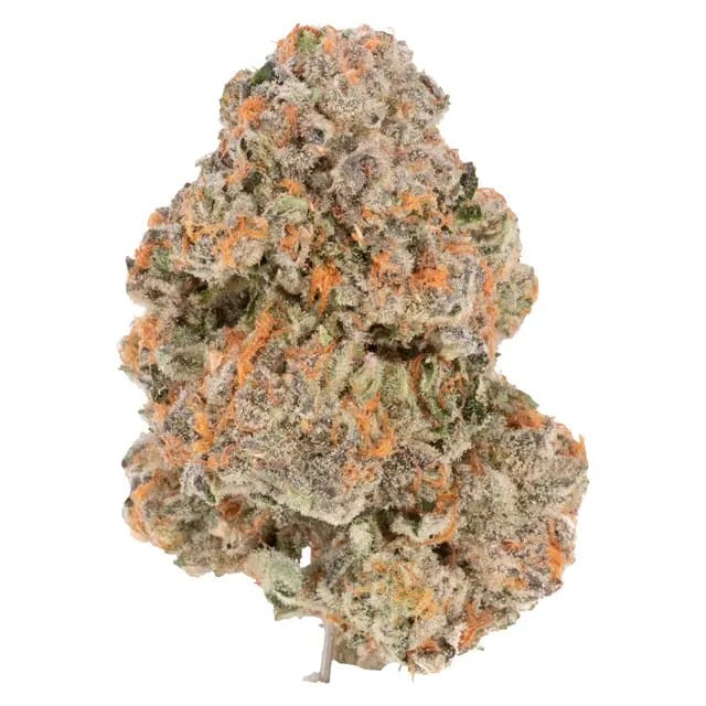 Jungle Fire cannabis strain. Image via OCS. 