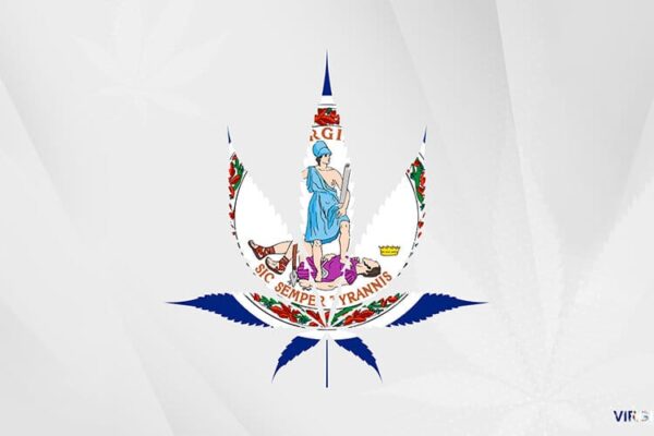 Resized Image