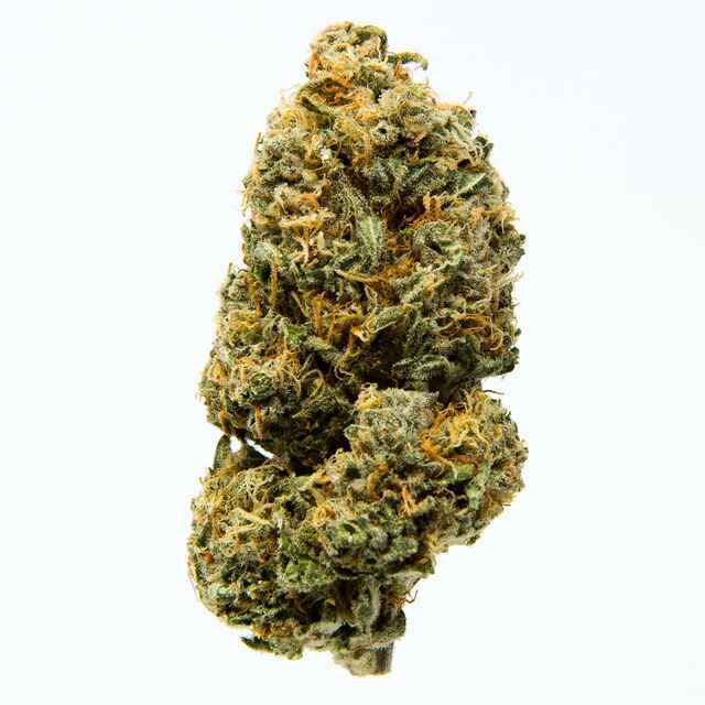 Blue Dream Cannabis Strain