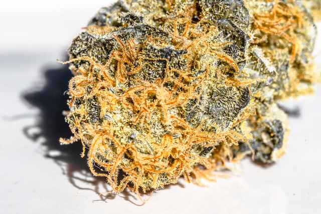 White Widow Cannabis Strain