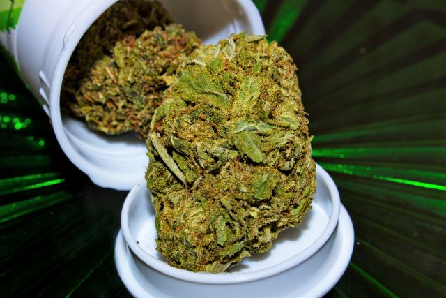 Super Silver Haze Cannabis Strain