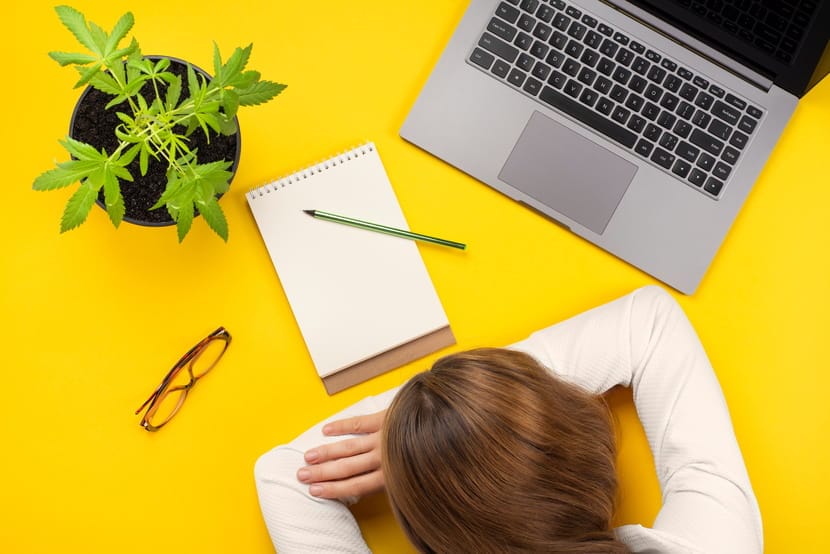 An exhausted creator rests her head beside a laptop, notebook, and cannabis plant.